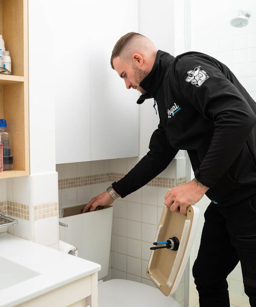 Loyal plumber fixing leaking tap Adelaide