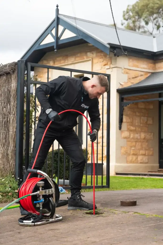 Loyal Plumbing technician clearing a blocked drain in Adelaide